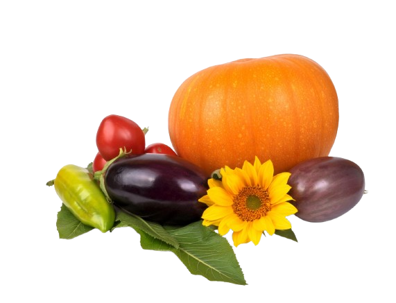 Fresh Produce product